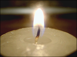 عکس از علی رضا پناهی