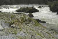 Cenarth