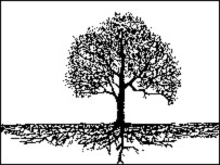 ونه او د هغې جرړې