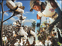 Dünya Ticaret Örgütü Sao Paolo'da toplandı.