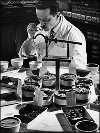 Provador de Café, 1953. Cortesia: Instituto Moreira Salles