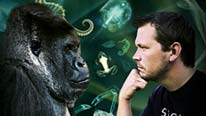 Jimmy Doherty facing a gorilla