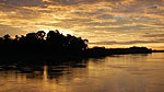 The Amazon river at dusk
