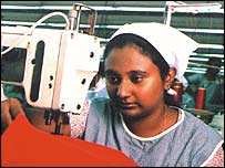 فلم ونڈ برڈ 