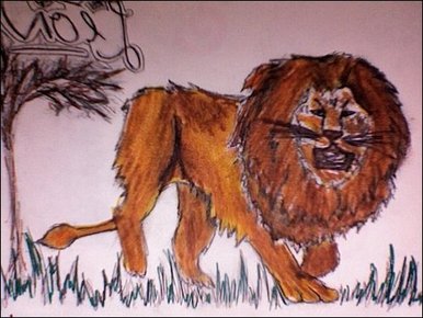 Lion