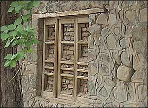 عکس از محمد جواد عليزاده