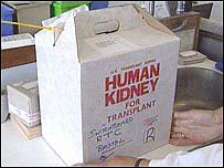 Rim para transplante