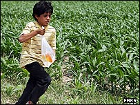 صحنه ای از فیلم آواز گنجشک ها