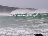 Rubber ducks could soon be coming ashore