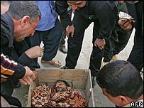 Ірак: насильство триває