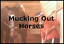 Mucking Out Horses