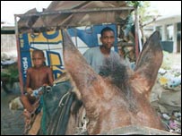 catadores de papel no Brasil