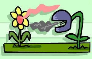 Image: Plants that smell