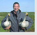 Brett Westwood with two Bewick's swans