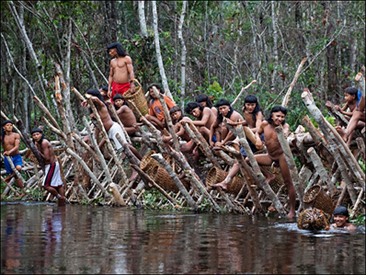 Indígenas en Brasil. Foto: Daniel Beltrá
