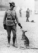 22nd June 1897: An Australian soldier of the British Empire Forces at the Diamond Jubilee of Queen Victoria, with the regiment's kangaroo mascot.(Getty Images/Hulton|Archive)