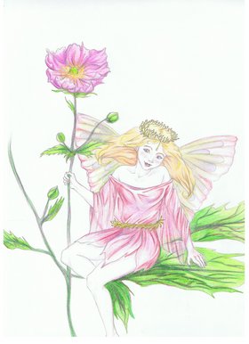 Japanese anemone fairy