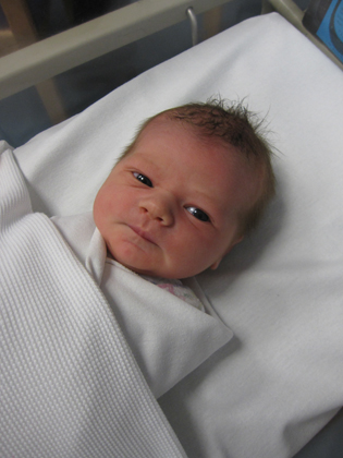 Noah Evans