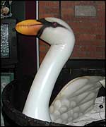 Swan in exhibition