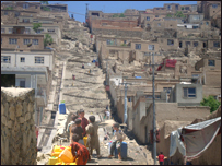 کوه و تپه نشين ها