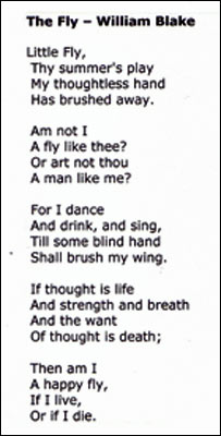 威廉·布莱克《苍蝇》