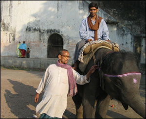 अमन कुमार