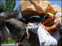 د سوات کډوال