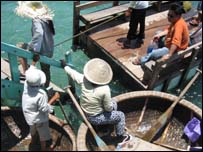 Ngư dân Việt Nam