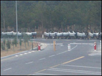 Bakü havaalanı çevresinde önlem alan polis