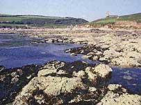 Wembury (Image c/o English Nature)