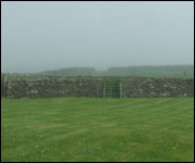 Roisin Gauson, The Jukebox and Matthew Price