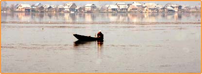 انڈین فوجی بلاگ 