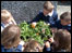 Pupils involved in the Eco-Schools programme