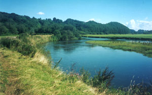 The River Towy