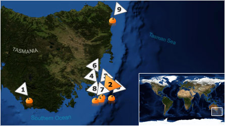 Dive map - Southern Ocean - Site 2