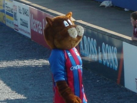 Caley mascot