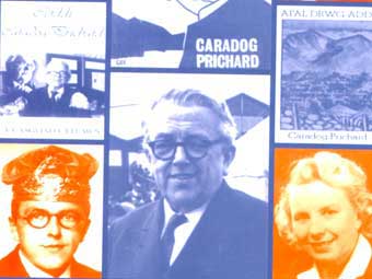 Rhan o glawr y llyfr