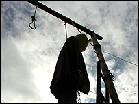 دار (عکس از آرشیو)