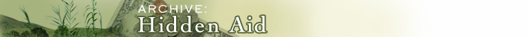 Hidden Aid