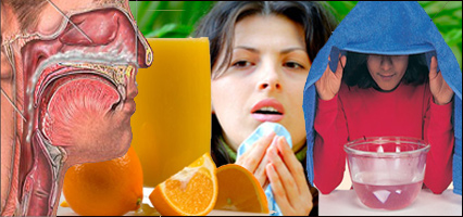 حساسيت وزکام درگرما