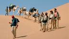 A group trekking in the desert with camels