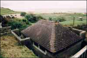 View of toilet and surroundings