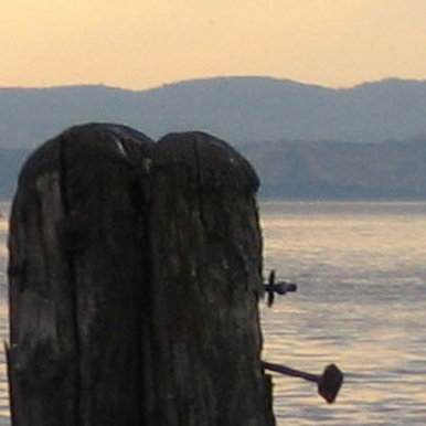 Wood In the Mountains