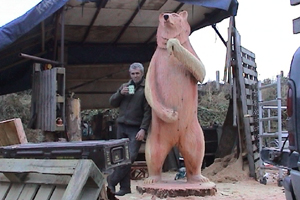 Harry Thomas picks up a chainsaw and turns a tree trunk into an 8 foot bear. As he draws on his 18 years of carving experience, he also reflects on the demise of the bear in the Herefordshire countryside. 