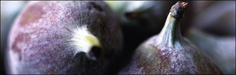 Figs