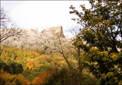 October View