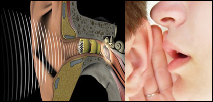 سيستم شنوايی