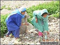 کودکان مهاجر