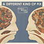 Review of A Different Kind of Fix Review of A Different Kind of Fix