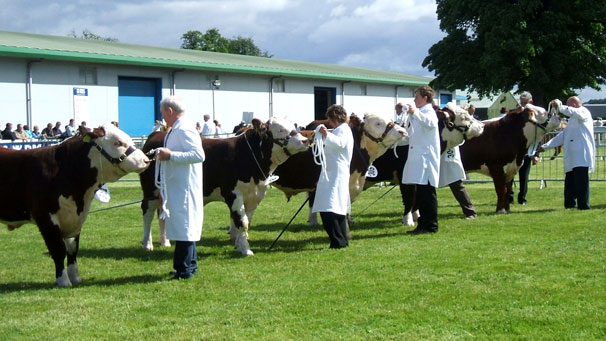 Awaiting the judge's decision.